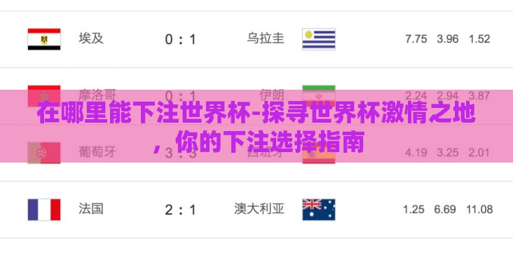 在哪里能下注世界杯-探寻世界杯激情之地,你的下注选择指南 在哪里能下注世界杯-探寻世界杯激情之地,你的下注选择指南