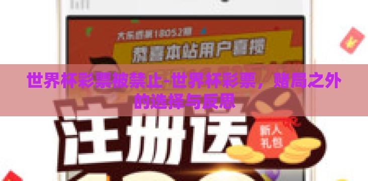 世界杯彩票被禁止-世界杯彩票，赌局之外的选择与反思