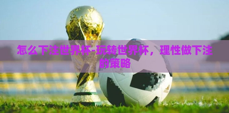 怎么下注世界杯-玩转世界杯,理性做下注的策略 怎么下注世界杯-玩转世界杯,理性做下注的策略