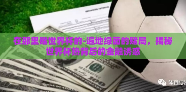 在那里赌世界杯的-遍地绿茵的赌局,揭秘世界杯热背后的金融诱惑 在那里赌世界杯的-遍地绿茵的赌局,揭秘世界杯热背后的金融诱惑