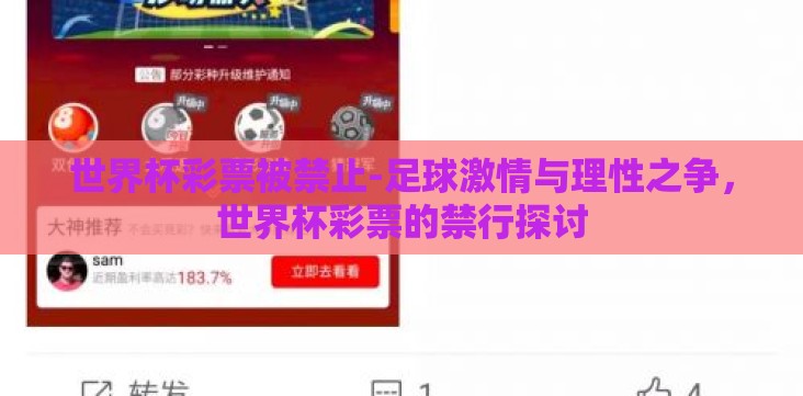 世界杯彩票被禁止-足球激情与理性之争,世界杯彩票的禁行探讨 世界杯彩票被禁止-足球激情与理性之争,世界杯彩票的禁行探讨