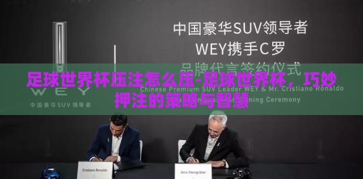 足球世界杯压注怎么压-足球世界杯,巧妙押注的策略与智慧 足球世界杯压注怎么压-足球世界杯,巧妙押注的策略与智慧
