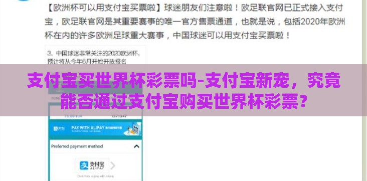 支付宝买世界杯彩票吗-支付宝新宠，究竟能否通过支付宝购买世界杯彩票？