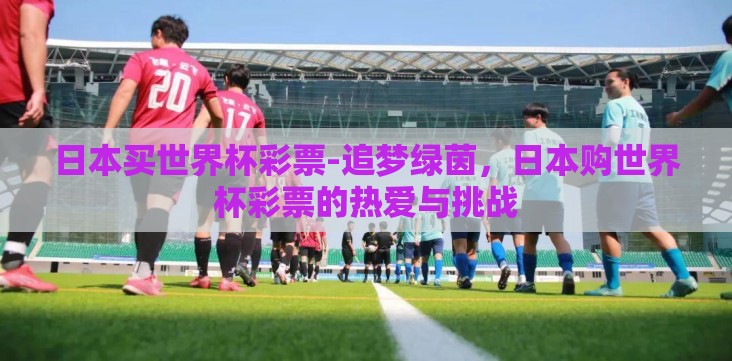 日本买世界杯彩票-追梦绿茵,日本购世界杯彩票的热爱与挑战 日本买世界杯彩票-追梦绿茵,日本购世界杯彩票的热爱与挑战