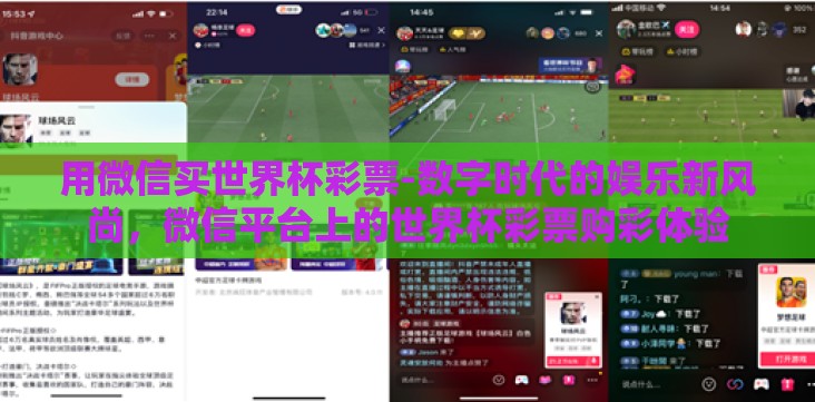用微信买世界杯彩票-数字时代的娱乐新风尚,微信平台上的世界杯彩票购彩体验 用微信买世界杯彩票-数字时代的娱乐新风尚,微信平台上的世界杯彩票购彩体验