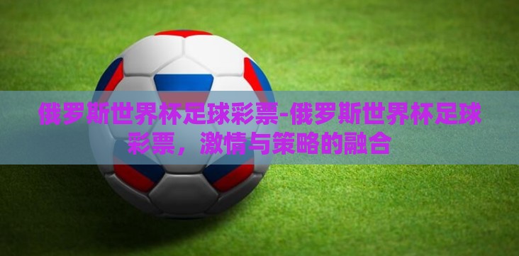 俄罗斯世界杯足球彩票-俄罗斯世界杯足球彩票，激情与策略的融合
