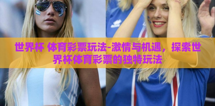 世界杯 体育彩票玩法-激情与机遇，探索世界杯体育彩票的独特玩法