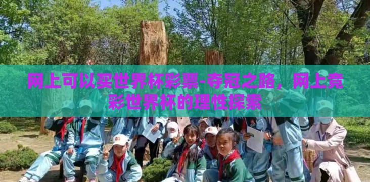 网上可以买世界杯彩票-夺冠之路,网上竞彩世界杯的理性探索 网上可以买世界杯彩票-夺冠之路,网上竞彩世界杯的理性探索