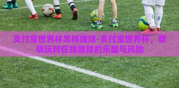 支付宝世界杯怎样赌球-支付宝世界杯,聪明玩转在线赌球的乐趣与风险 支付宝世界杯怎样赌球-支付宝世界杯,聪明玩转在线赌球的乐趣与风险