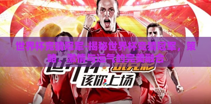 世界杯竞猜冠军-揭秘世界杯竞猜冠军，策略、激情与运气的完美融合