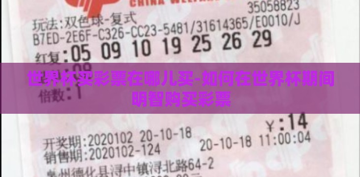 世界杯买彩票在哪儿买-如何在世界杯期间明智购买彩票 世界杯买彩票在哪儿买-如何在世界杯期间明智购买彩票