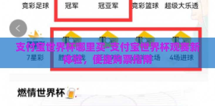支付宝世界杯哪里买-支付宝世界杯观赛新体验，便捷购票指南