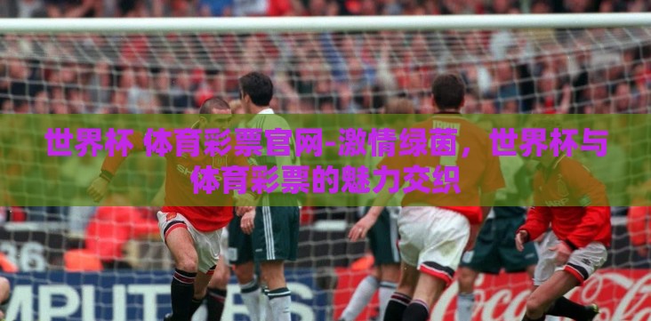 世界杯 体育彩票官网-激情绿茵,世界杯与体育彩票的魅力交织 世界杯 体育彩票官网-激情绿茵,世界杯与体育彩票的魅力交织