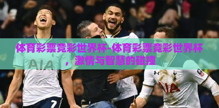 体育彩票竞彩世界杯-体育彩票竞彩世界杯，激情与智慧的碰撞